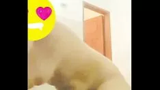 تشغيل هذه الفتاة جبهة مورو الإسلامية للتحرير لديها أرداف كبيرة جدًا وتريد أن تلعب لعبة xxx
